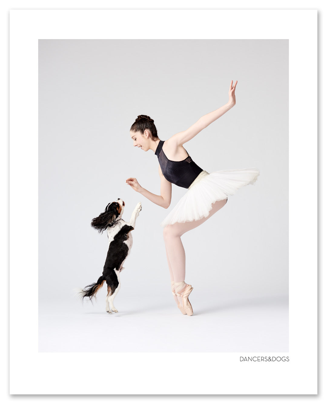 Cavalier Poster Print: Open Edition
